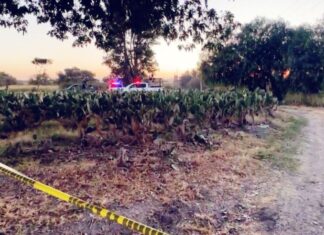 Localizan una fosa clandestina con restos humanos en la colonia El Pitayo en Salamanca.