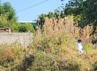 Encuentran restos óseos en zona cerril de la comunidad de Buenavista de la Libertad en Yuriria.