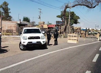 Un adolescente de tan solo 17 años de edad, fue asesinado a balazos en la carretera federal Irapuato – Abasolo.