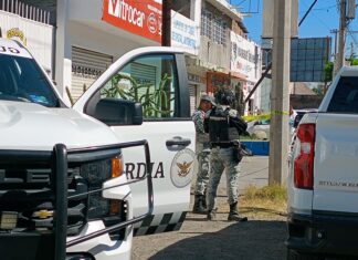 Una mujer fue asesinada en la colonia Villas de la Herradura, hay un detenido.