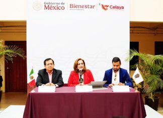 Programas de Bienestar en Guanajuato, son para atender las causas de la violencia; Alma Alcaraz