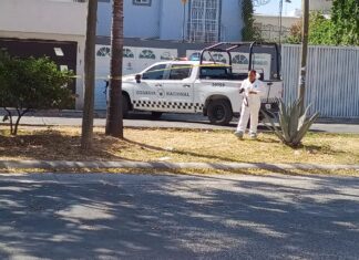 Asesinan a taquero en la colonia La Misión, está mañana en Celaya.