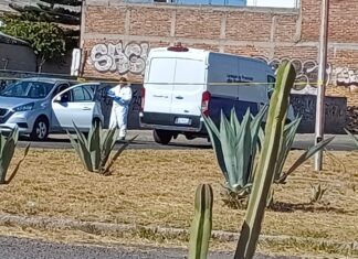 Un pareja que viajaba a abordo de un auto compacto fue atacada a balazos, en Celaya; el hombre murió en el lugar, la fémina resultó ilesa.