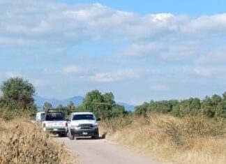 Localizan el cuerpo calcinado de una persona, en un camino de terracería, entre las comunidades de El Cacalote y La Quebradora, en Tarimoro.