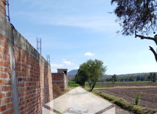 Esta mañana un hombre fue asesinado a balazos en la comunidad de Las Raíces, en Valle de Santiago.