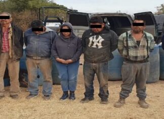 Detienen a Norma “N”, alias la “Italiana” operadora principal del «Cartel de Santa Rosa de Lima».