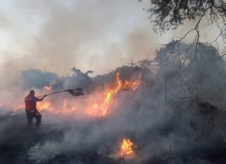 Protección Civil de Salvatierra Atiende 58 Reportes de Incendios en lo que Va de Diciembre