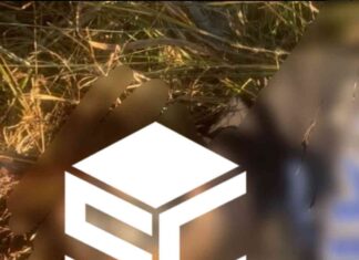 Localizan el cuerpo sin vida de un masculino en la comunidad de Ojo de Agua de Cerano, en Yuriria.