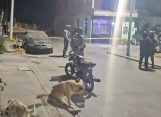 Un hombre fue asesinado en la colonia Barlovento en Salamanca; en los primeros minutos de este lunes.