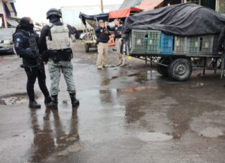 Ataque armado en un local del Mercado de Abastos en Celaya, dejo un saldo de tres hombres asesinados y dos heridos.