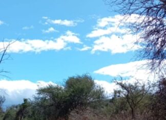 Un hombre fue ejecutado en un camino entre las comunidades de Jicamas y Los Martínez, en Valle de Santiago.