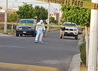 Una mujer resultó gravemente herida después de que fue víctima de un ataque armado en la colonia, Los Olivos, en Celaya.