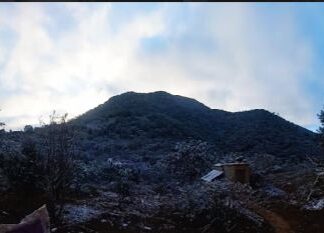 Registran nevadas y temperaturas bajo 0 °C en municipios de Guanajuato.