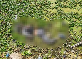 Hallan a hombre ahogado en el Lago de Cuitzeo