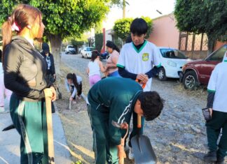 Realizan jornada de reforestación en el Fraccionamiento Los Arcos