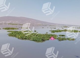 Encuentran el cuerpo sin vida de una mujer en aguas de la Laguna de Yuriria.