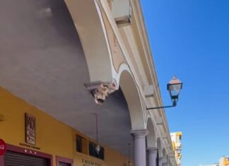 Conductor ebrio derriba columna del portal del jardín principal en Cortázar.