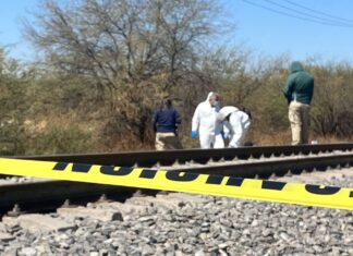 Un hombre murió arrollado por el tren en la colonia El Mayorazgo, en León.