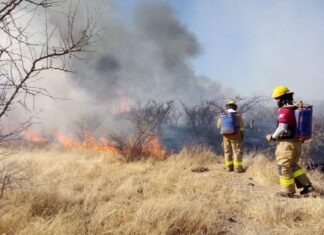 Incendio forestal en León, género movilización de autoridades de bomberos y protección civil, municipal y estatal.