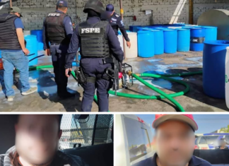 Segundo golpe contra robo de leche: Secretaría de Seguridad y Paz asegura almacén en León, con dos detenidos más.