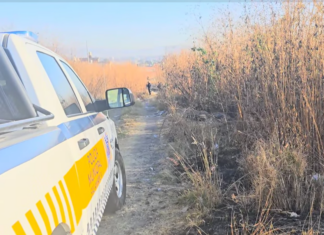Encuentran el cuerpo sin vida de una mujer en un lote baldío de la colonia 18 de Marzo, en Salamanca.