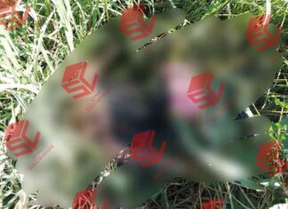 Localizan el cuerpo de una mujer sin vida en la carretera estatal Valle de Santiago – La Gachupina.