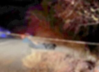 Los cuerpos de 4 hombres fueron abandonados en el municipio de La Unión en Guerrero.