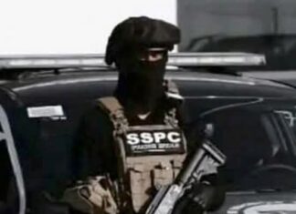 ESTA ES LA NUEVA POLICÍA FEDERAL