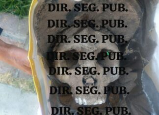 Localizan un cráneo humano con tierra, al interior de una bolsa de regalo en Acámbaro.