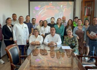 INSTALAN COMITÉ MUNICPAL DE SALUD* EN VALLE DE SANTIAGO