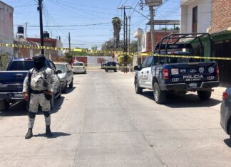 Un hombre fue asesinado a balazos al interior de un vehículo en la colonia Hacienda de Echeveste en León.