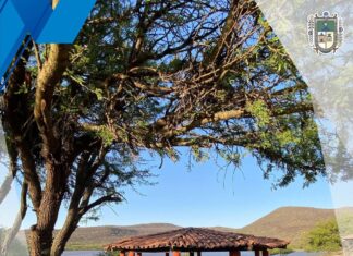 Gobierno Municipal realizó la rehabilitación de las palapas y asadores en la Presa de la Joya