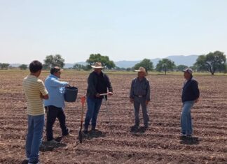 Capacitan a agricultores en toma de muestras de suelo en Yuriria.