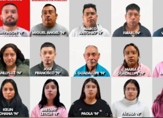 Detienen a 15 criminales, integrantes de una célula Criminal; uno de ellos era generador de violencia