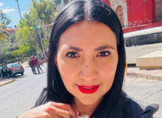 Autores materiales del asesinato de la candidata de Morena, Gisela Gaytan fueron detenidos.