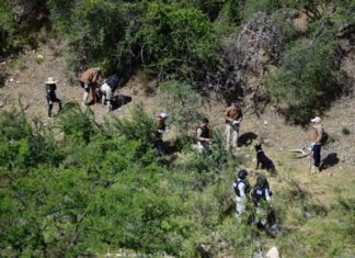 Célula Municipal de Búsqueda de Guanajuato suma 71 activaciones en lo que va del año.