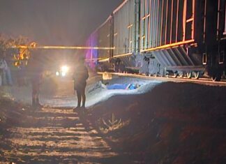 Un hombre murió arrollado por el tren en la colonia Rinconada San Miguel, en Celaya.