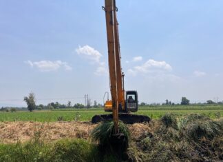 Limpian dren Angostura en Salvatierra para prevenir desbordes en temporada de lluvias