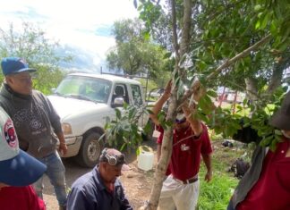 Trabajando por un Valle más verde!