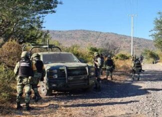 Fuerzas federales y estatales abatieron a un presunto gatillero