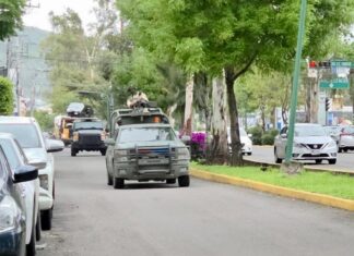 Autoridades federales catean rancho de “El Barbas”, lider delincuencial en Zitacuaro Mich.