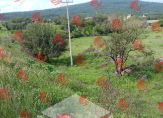 La persona que supuestamente murió atropellada el pasado sábado en Uriangato, fue asesinado a balazos.