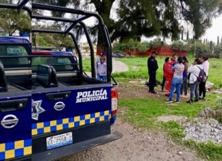 Encuentran a una bebé recien nacida en un lote baldio en Cortazar.