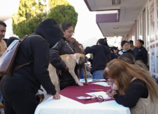 ESTERILIZAN PERROS Y GATOS EN COMUNIDADES.