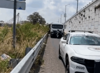 Encuentran el cuerpo de una persona en avanzado estado de descomposición en la carretera federal Celaya – Salamanca.