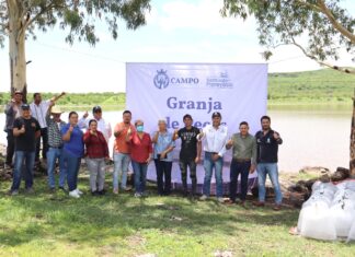 Siembran 50 mil crías de tilapia y bagre en la Presa La Joya para fortalecer la acuacultura en Santiago Maravatío.