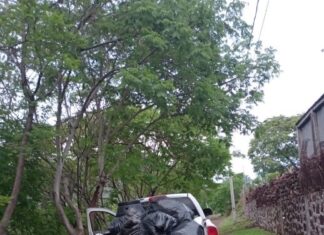 AUTORIDADES MUNICIPALES IMPLEMENTAN MEDIDAS DE PREVENCIÓN EN CONTRA DEL DENGUE