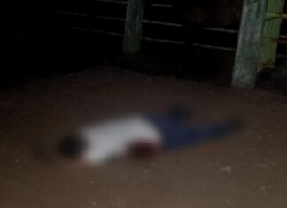 Dos oficiales heridos, y un civil sin vida en ataque a elementos de seguridad Pública en Buenavista Tomatlán Michoacán.