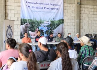 Fortalecen las actividades productivas del campo y la economía de las familias en Santiago Maravatio.