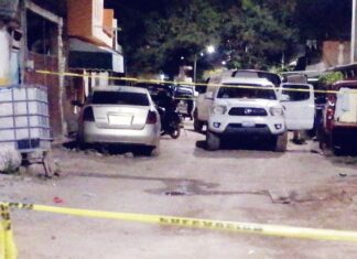 Un hombre fue asesinado a golpes en la cabeza con una piedra , por su propio hermano en Leon.